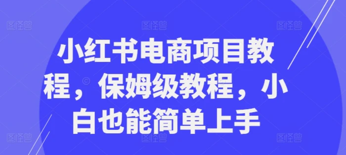 小红书电商项目教程，保姆级教程，小白也能简单上手-副业网