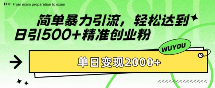 简单暴力引流，轻松达到日引500+精准创业粉，单日变现2k【揭秘】-副业网