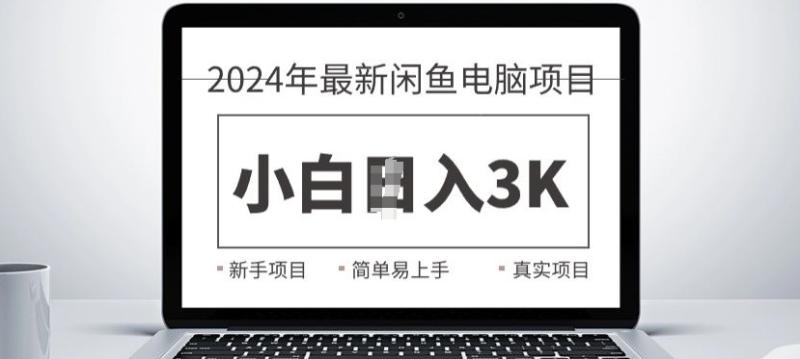 2024最新闲鱼电脑项目，动手就能吃肉的好项目-副业网