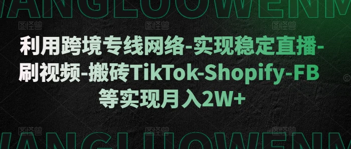 利用跨境专线网络-实现稳定直播-刷视频-搬砖TikTok-Shopify-FB等实现月入2W+【揭秘】-副业网