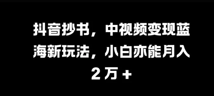 抖音抄书，中视频变现蓝海新玩法，小白亦能月入 过W【揭秘】-副业网