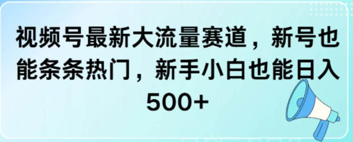 视频号最新大流量赛道，新号也能条条热门，新手小白也能日入5张-副业网