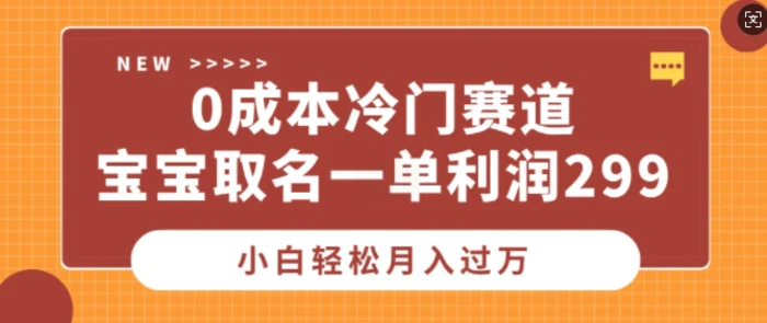 0成本冷门赛道，宝宝取名一单利润299，小白轻松月入过万-副业库
