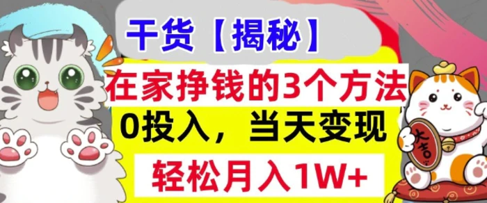 在家挣钱的3个方法，0投入，当天变现，轻松月入过W-副业网