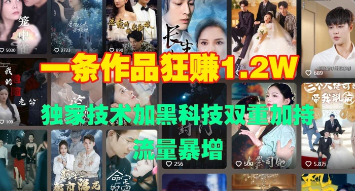 一条作品收益1.2w，独家技术加黑科技双重加持，流量暴增-副业网
