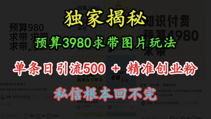预算3980求带 图片玩法，单条日引流500+精准创业粉，私信根本回不完-副业库