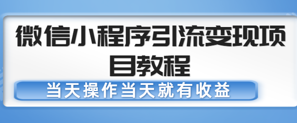 微信小程序引流变现项目教程，当天操作当天就有收益，变现不再是难事-副业网