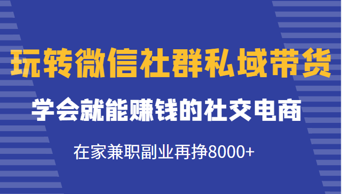 玩转微信社群私域带货，学会就能赚钱的社交电商，在家兼职副业再挣8000+-副业网