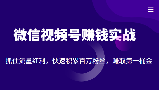 微信视频号赚钱实战：抓住流量红利，快速积累百万粉丝，赚取你的第一桶金-副业库