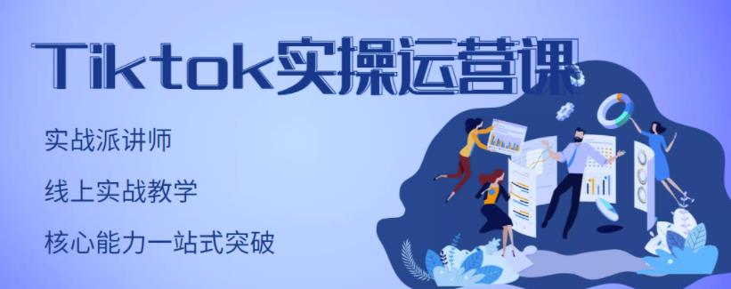 刘博·TikTok实操运营课，手把手账号实战，适合零基础Tiktok新人-副业网