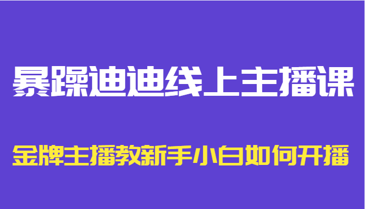 暴躁迪迪线上主播课，金牌主播教新手小白如何开播-副业网