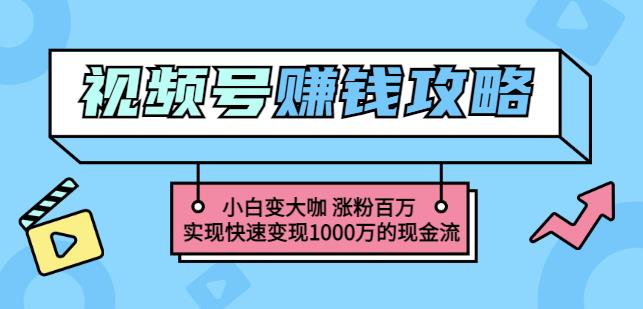 玩转微信视频号赚钱：小白变大咖涨粉百万实现快速变现1000万的现金流-副业网