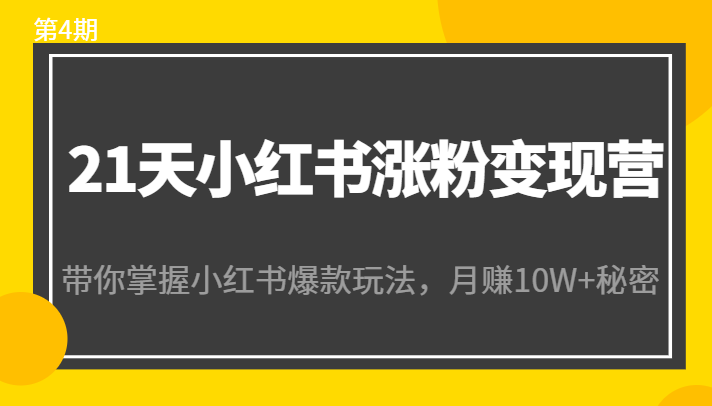 21天小红书涨粉变现营（第4期）：带你掌握小红书爆款玩法，月赚10W+秘密-副业网