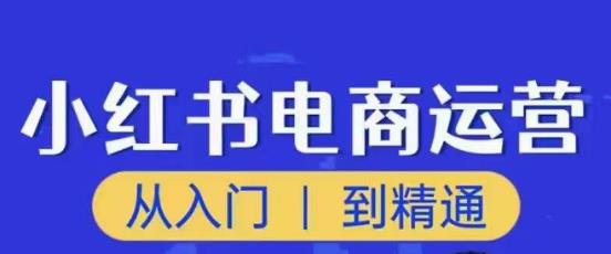顽石小红书电商高阶运营课程，从入门到精通，玩法流程持续更新-副业库