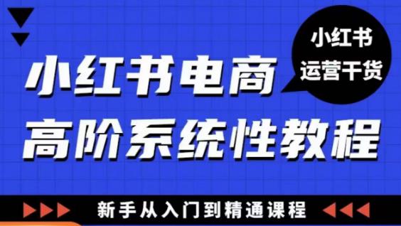 小红书电商高阶系统教程，新手从入门到精通系统课-副业网