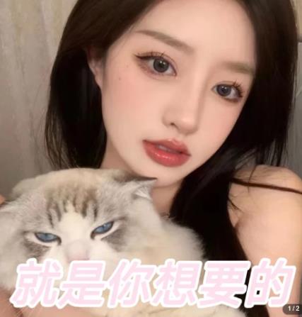 图片[2]-微信交友变现项目，吸引全网LSP男粉精准变现，小白也能轻松上手，日入500+-副业网