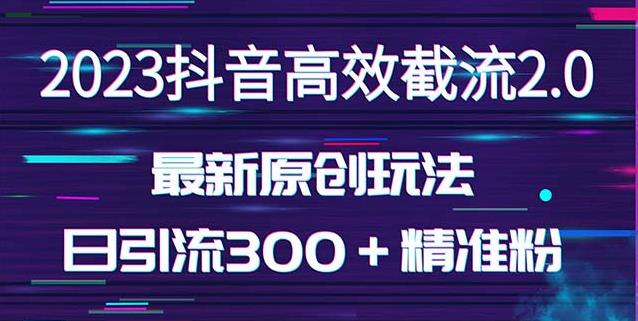 日引300＋创业粉，独家抖音高效截流2.0玩法（价值1280）-副业网