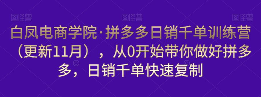 白凤电商学院·拼多多日销千单训练营，从0开始带你做好拼多多，日销千单快速复制（更新知2023年3月）-副业网