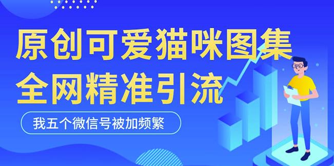 黑科技纯原创可爱猫咪图片，全网精准引流，实操5个VX号被加频繁-副业网
