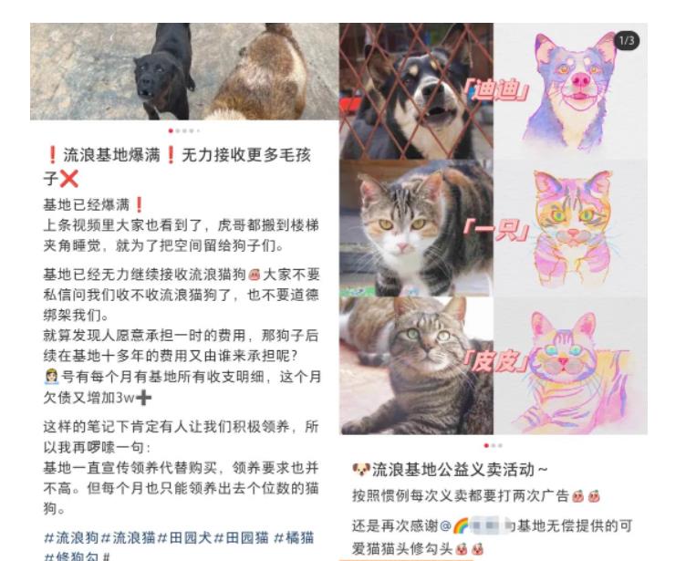 图片[2]-小红书蓝海类赛道：小动物打赏与购买变现副业项目，一条龙玩法分享给你！-副业网