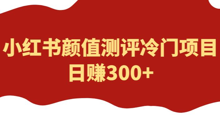 外面1980的项目，小红书颜值测评冷门项目，日赚300+【揭秘】-副业网