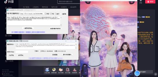 图片[2]-最新电脑版抖音/快手/B站直播源获取+直播间实时录制+直播转播软件【全套软件+详细教程】-副业网