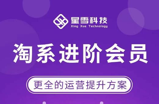 星雪·淘系进阶课程，快速提升突破技能流量瓶颈必备（更新2023年5月）-副业网