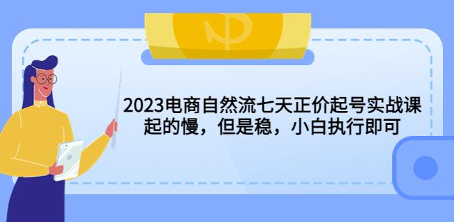 2023电商自然流七天正价起号实战课：起的慢，但是稳，小白执行即可！-副业网