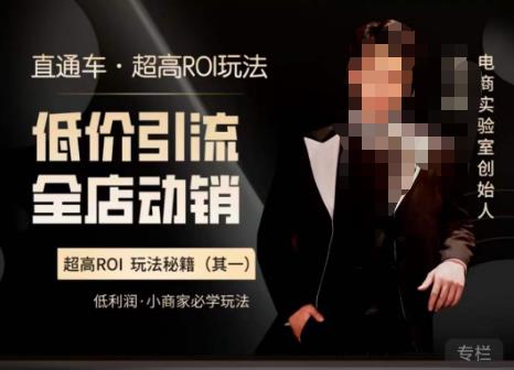 电商冰可乐·直通车·《低价引流·全店动销》，直通车·超高ROI玩法（其一）全店动销必学玩法-副业网