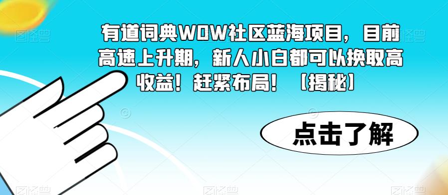 有道词典WOW社区蓝海项目，目前高速上升期，新人小白都可以换取高收益！赶紧布局！【揭秘】-副业网