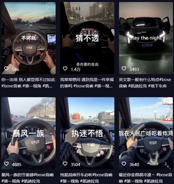 图片[2]-抖音开车视频项目，0基础操作，每天五分钟，月入1W+【揭秘】-副业网