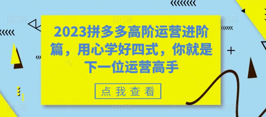 2023拼多多高阶运营进阶篇，用心学好四式，你就是下一位运营高手-副业网