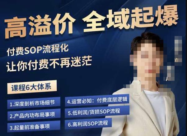 逸风-拼多多高溢价全域起爆，6大课程体系，付费玩法全套实操-副业库