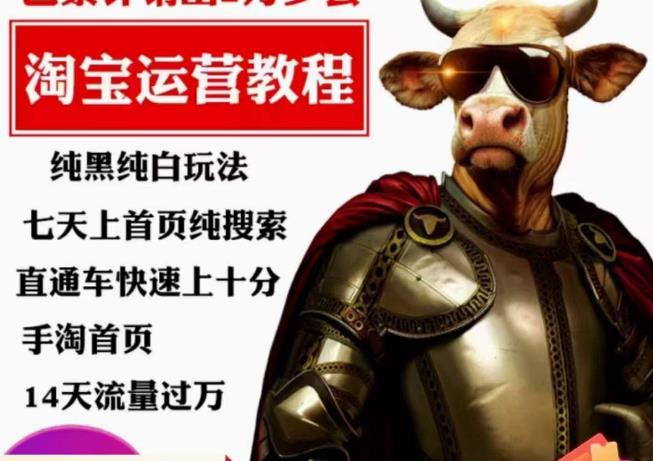 猫老师·淘系算法逆向解密，​纯黑纯白玩法，七天上首页纯搜索，手淘首页14天流量过万-副业网