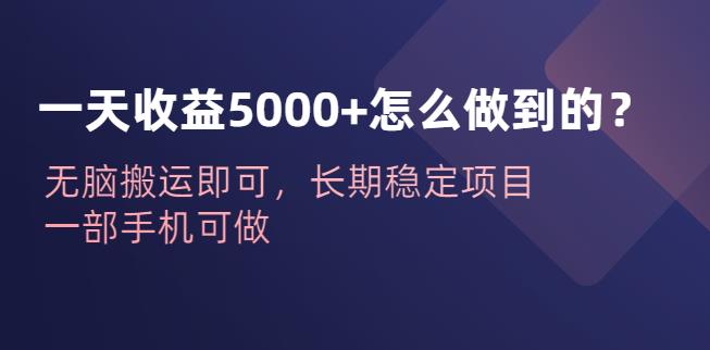 一天收益5000+怎么做到的？无脑搬运即可，长期稳定项目，一部手机可做【揭秘】-副业网