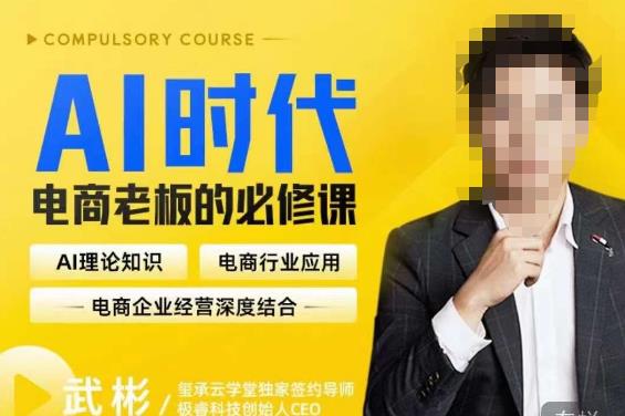 玺承·AI时代，电商老板的必修课，理论+实操+工具，驱动电商销售转化-副业网
