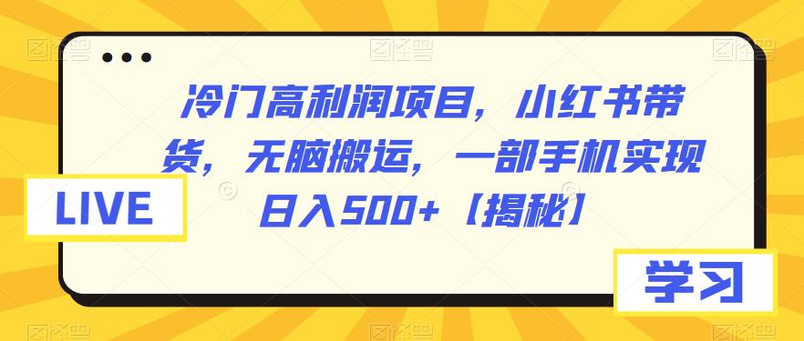 冷门高利润项目，小红书带货，无脑搬运，一部手机实现日入500+【揭秘】-副业库