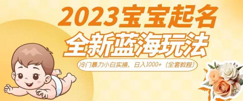 2023宝宝起名全新蓝海玩法，冷门暴力小白实操，日入1000+（全套教程）【揭秘】-副业网