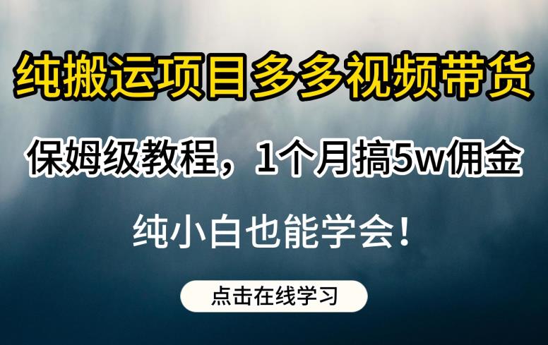 纯搬运项目多多视频带货保姆级教程，1个月搞5w佣金，纯小白也能学会【揭秘】-副业网