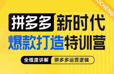 玺承·拼多多新时代爆款打造特训营，全维度讲解拼多多运营逻辑-副业库