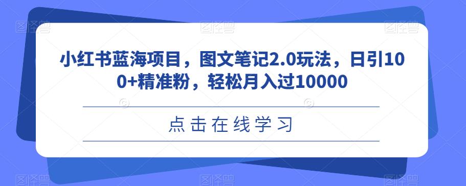 小红书蓝海项目，图文笔记2.0玩法，日引100+精准粉，轻松月入过10000【揭秘】-副业网