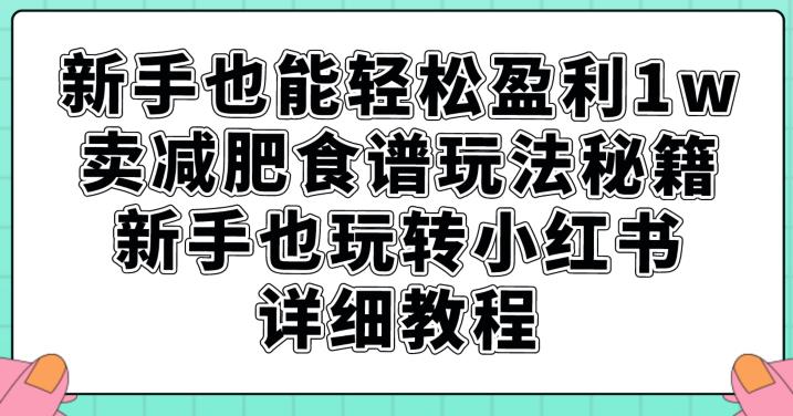 新手也能轻松盈利1w，卖减肥食谱玩法秘籍，新手也玩转小红书详细教程【揭秘】-副业网