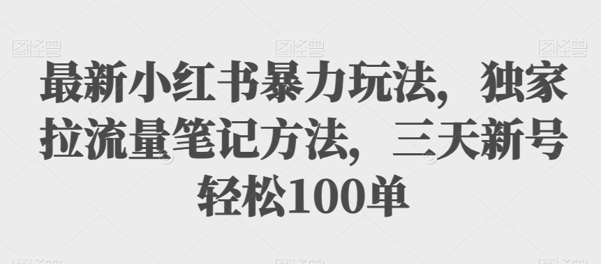 最新小红书暴力玩法，独家拉流量笔记方法，三天新号轻松100单【揭秘】-副业库
