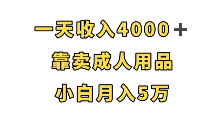 一天收入4000+，靠卖成人用品，小白轻松月入5万【揭秘】-副业网