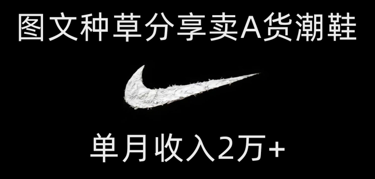 靠图文种草分享卖A货潮鞋，每天一小时，单月收入2万+【揭秘】-副业网