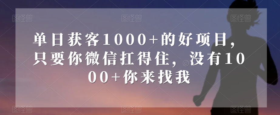 单日获客1000+的好项目，只要你微信扛得住，没有1000+你来找我【揭秘】-副业网