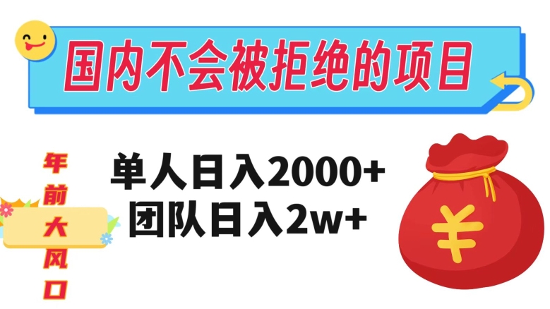 在国内不怕被拒绝的项目，单人日入2000，团队日入20000+【揭秘】-副业网