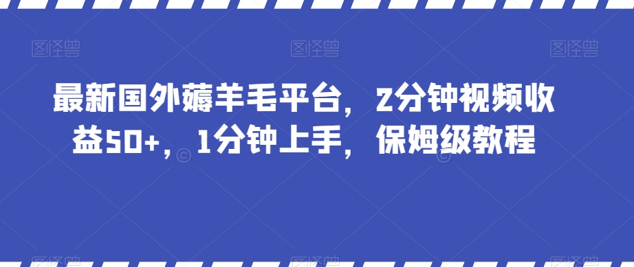 最新国外薅羊毛平台，2分钟视频收益50+，1分钟上手，保姆级教程【揭秘】-副业网