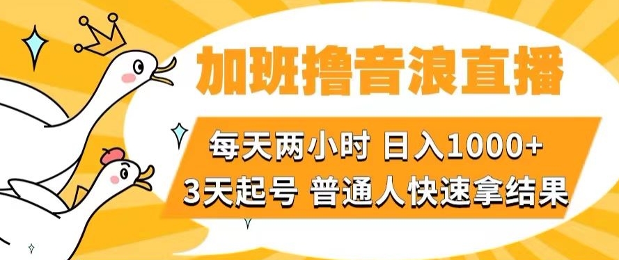 加班撸音浪直播，每天两小时，日入1000+，直播话术才3句，3天起号，普通人快速拿结果【揭秘】-副业网