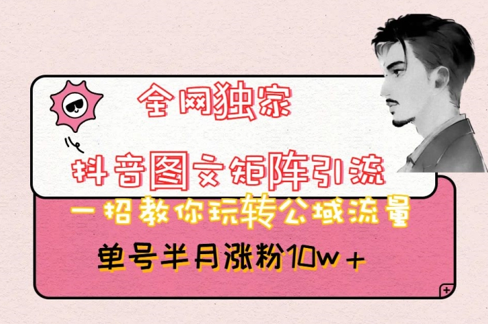 全网独家抖音图文矩阵引流，一招教你玩转公域流量，单号半月涨粉10w+【揭秘】-副业库
